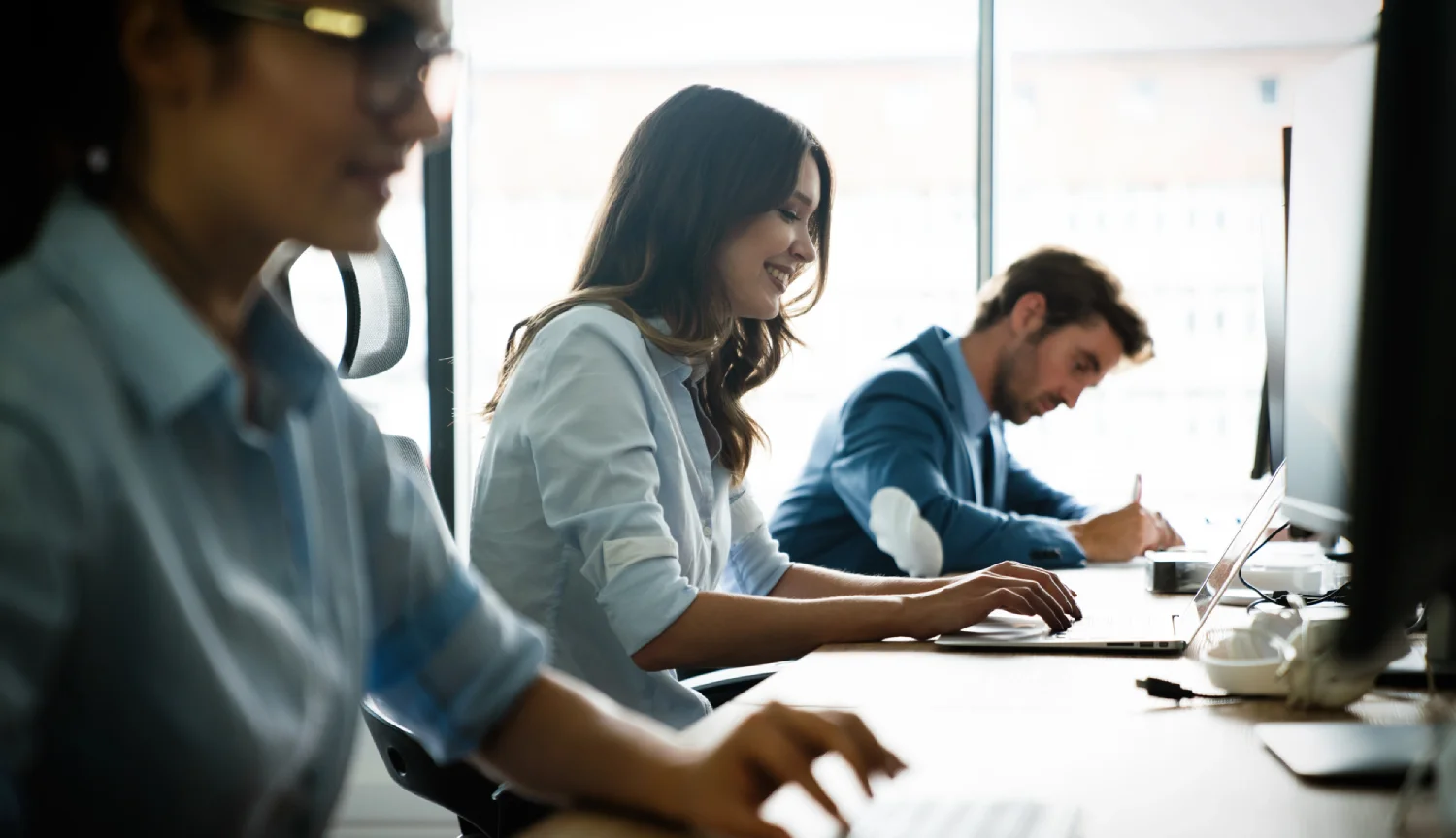 Technology Procurement Services - Enterprise license agreements and renewals